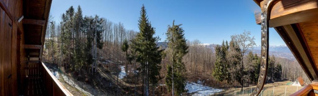 Maison Faganello Chalet Tambre dʼAlpago Екстериор снимка